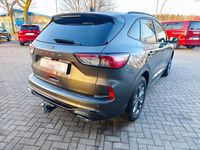 Gebraucht Ford Kuga ST-Line X 224 PS (164 kW) 2024 Grau SUV