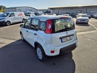 Gebraucht Fiat Panda S 69 PS (50 kW) 2024 Weiss Kleinwagen