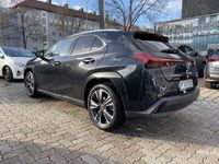 gebraucht Lexus UX 250h Luxury *Schiebedach, Mark Levinson*