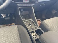 Neu Ford Tourneo Titanium 150 PS (110 kW) 2026 Schwarz Van / Kleinbus