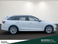 Gebraucht Skoda Octavia Selection 150 PS (110 kW) 2024 Weiß Kombi