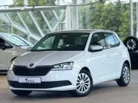 Gebraucht Skoda Fabia Easy 65 PS (47 kW) 2021 Blau Kleinwagen