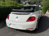 Gebraucht VW Beetle 105 PS (77 kW) 2016 Weiß Kleinwagen