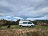 Second-hand Ford Transit 2010 Alb Monovolum