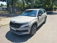Gebraucht Skoda Kodiaq RS 239 PS (175 kW) 2020 Grau SUV
