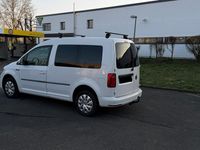 Gebraucht VW Caddy Conceptline 102 PS (75 kW) 2017 Weiß Van / Kleinbus