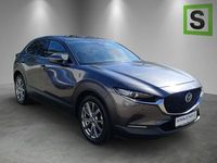 Gebraucht Mazda CX-30 Selection 179 PS (131 kW) 2019 Grau SUV