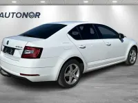 Gebraucht Skoda Octavia 116 PS (85 kW) 2019 Weiß Limousine