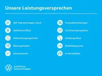 Gebraucht VW Passat Basis 150 PS (110 kW) 2023 Grau Kombi