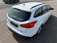 Usata Ford Focus 2015 Bianco Station wagon