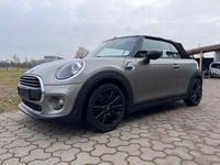 Gebraucht Mini One Cabriolet 102 PS (75 kW) 2019 Silber Cabrio