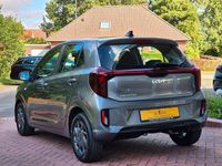Neu Kia Picanto Vision 63 PS (46 kW) 2025 Astrograu Kleinwagen