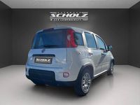 Gebraucht Fiat Panda 71 PS (52 kW) 2024 Gelato weiß Kleinwagen