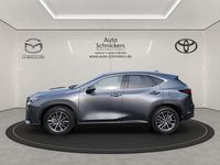 Gebraucht Lexus NX350h Executive Line 243 PS (178 kW) 2024 Grau SUV