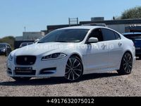 Gebraucht Jaguar XF R-Sport 241 PS (177 kW) 2015 Weiß Limousine