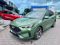 Gebraucht Ford Kuga ST-Line 151 PS (111 kW) 2024 Bursting green SUV