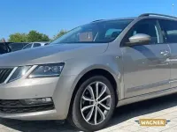 Gebraucht Skoda Octavia Soleil 116 PS (85 kW) 2019 Beige Kombi