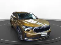 Gebraucht Skoda Kodiaq Selection 150 PS (110 kW) 2024 Gold SUV