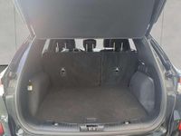 Gebraucht Ford Kuga ST-Line X 151 PS (111 kW) 2023 Schwarz SUV