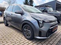 Neu Kia Picanto Vision 68 PS (50 kW) 2026 Astrograu metallic Kleinwagen