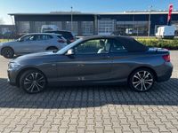 gebraucht BMW 220 i Steptronic Cab Sport Aut. ACC Klima Leder