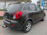 Gebraucht Opel Antara Design Edition 163 PS (119 kW) 2015 Braun SUV