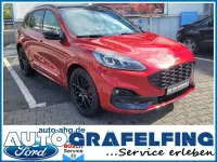 Gebraucht Ford Kuga ST-Line X 150 PS (110 kW) 2024 Rot SUV