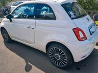 gebraucht Fiat 500 mild-hybrid