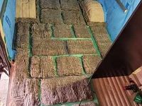 Gebraucht Iveco Daily 166 PS (122 kW) 2006 Grün Van