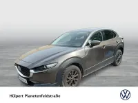 Gebraucht Mazda CX-30 Selection 150 PS (110 kW) 2021 Grau SUV