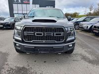 Gebraucht Ford V8 XLT 364 PS (267 kW) 2015 Grau SUV