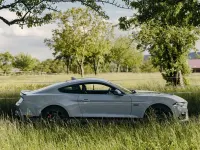 Occasion Ford Mustang Fastback 460 ch (338 kW) 2023 Gris