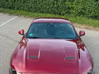 Gebraucht Ford Mustang Fastback 290 PS (213 kW) 2019 Rot Coupé