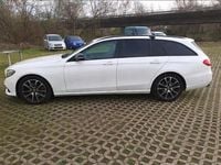 Gebraucht Mercedes E220 194 PS (142 kW) 2017 Weiß Kombi