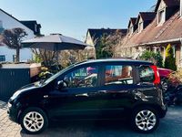Gebraucht Fiat Panda Lounge 69 PS (50 kW) 2016 Schwarz Kleinwagen