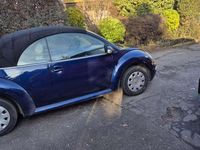Gebraucht VW New Beetle Cabriolet 116 PS (85 kW) 2004 Cabrio