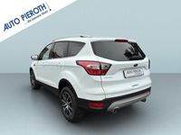 Occasion Ford Kuga 150 ch (110 kW) 2019 Blanc SUV