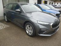 Neu Skoda Scala Selection 116 PS (85 kW) 2025 Grau Kleinwagen