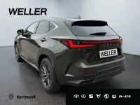 Neu Lexus NX450h+ 292 PS (214 kW) 2026 Gruen SUV