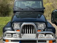 Gebraucht Jeep Wrangler 180 PS (132 kW) 1993 Schwarz SUV