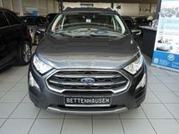 Usado Ford Ecosport Titanium 125 CV (91 kW) 2021 Gris SUV