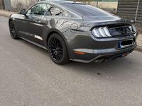Gebraucht Ford Mustang 450 PS (330 kW) 2019 Grau Coupé