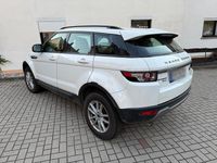 Gebraucht Land Rover Range Rover evoque 155 PS (114 kW) 2012 Weiß SUV