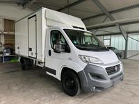 gebraucht Fiat Ducato Maxi Kühlwagen