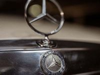 Gebraucht Mercedes 230 136 PS (100 kW) 1981 Beige Coupé