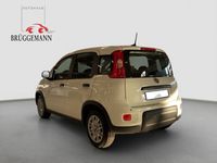 Gebraucht Fiat Panda 69 PS (50 kW) 2025 Weiß Kleinwagen