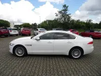 Gebraucht Jaguar XF Pure 180 PS (132 kW) 2019 Weiß Limousine