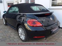 Gebraucht VW Beetle Cup 105 PS (77 kW) 2016 Schwarz Kleinwagen