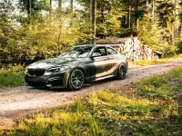 Gebraucht BMW M235 Performance 326 PS (239 kW) 2015 Grau Coupé