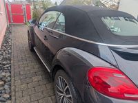Gebraucht VW Beetle Allstar 105 PS (77 kW) 2016 Schwarz Kleinwagen
